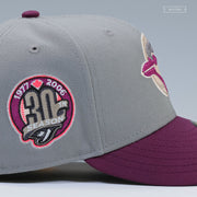TORONTO BLUE JAYS 30TH ANNIVERSARY ZELDA PHANTOM ARMOR INSPIRED NEW ERA FITTED CAP