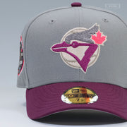 TORONTO BLUE JAYS 30TH ANNIVERSARY ZELDA PHANTOM ARMOR INSPIRED NEW ERA FITTED CAP