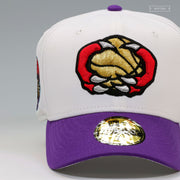 TORONTO RAPTORS 30TH ANNIVERSARY RETRO VINCE CARTER JERSEY INSPIRED NEW ERA FITTED CAP