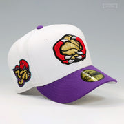 TORONTO RAPTORS 30TH ANNIVERSARY RETRO VINCE CARTER JERSEY INSPIRED NEW ERA FITTED CAP