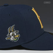 HARTFORD YARDGOATS EVERYDAY GOAT MERLIN MISSIONS NEW ERA FITTED CAP