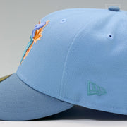 TORONTO BLUE JAYS 10TH & 20TH ANNIVERSARY DRAKE NOTHING WAS THE SAME INSPIRED NEW ERA CAP